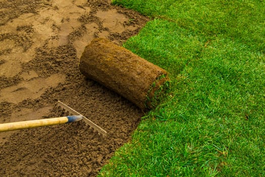 Gardener applying turf rolls in the backyard