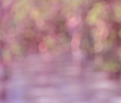 Defocused nature lights abstract background