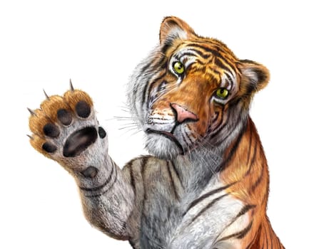 Tiger close up, facing the viewer, with the right hand up and claws.