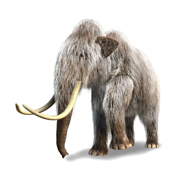 Photorealistic 3 D rendering of a Mammoth. On white background with drop shadow and clipping path included.