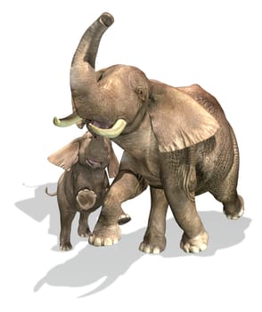 Elephants, mother and son. On white background with drop shadow. Clipping path included.