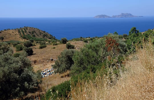 Landscape of Crete
