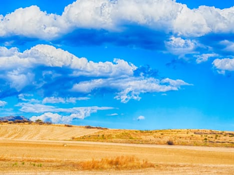 sardinia country wild. Yellow sardinian country in the summer.
