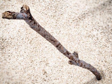 stick dipped in the sand. image in a solitary beach
