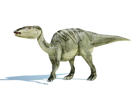 Photorealistic 3 D rendering of an Edmontosaurus. On white background with drop shadow and clipping path included.