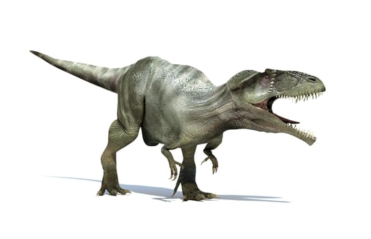 Photorealistic 3 D rendering of a Giganotosaurus. On white background with drop shadow and clipping path included.