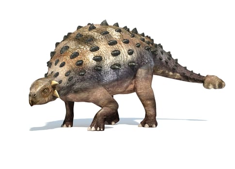 Photorealistic 3 D rendering of an Ankylosaurus. On white background with drop shadow and clipping path included.