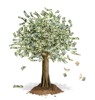 Money Tree with US Dollar bank notes in place of leaves, with some notes falling down. On white background.