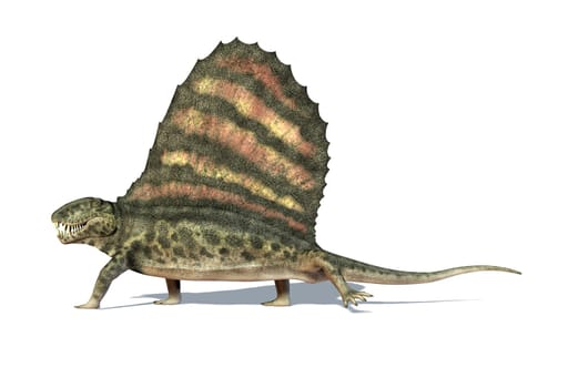 Dimetrodon dinosaur. Viewed from a side, very detailed and scientifically correct. On white background with dropped shadow and clipping path.