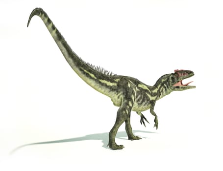 Allosaurus Dinosaur, photorealistic and scientifically correct representation, dynamic posture. On white background with drop shadow. Clipping path included.