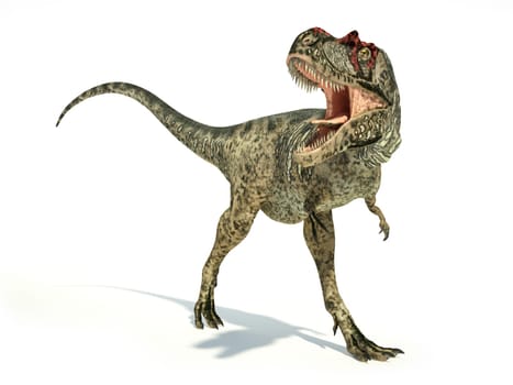 Albertosaurus Dinosaur, photorealistic and scientifically correct representation, dynamic posture. On white background with drop shadow. Clipping path included.