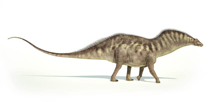 Photorealistic and scientifically correct representation of an Amargasaurus dinosaur. Side view. On white background with drop shadow and clipping path included.