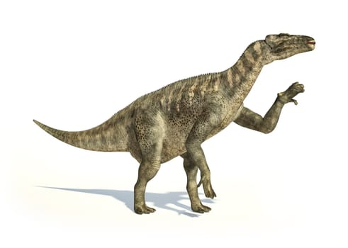 Iguanodon Dinosaur photorealistic and scientifically correct representation, in dynamic posture. On white backgraound and drop shadow. Clipping path included.