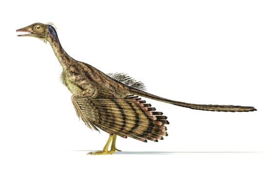 Photorealistic and scientifically correct representation of an Archaeopteryx dinosaur.