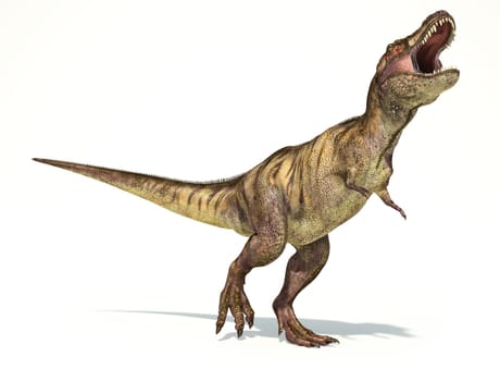 Tyrannosaurus Rex dinosaur, full body photorealistic representation. Dynamic view. On white background and drop shadow. Clipping path included.