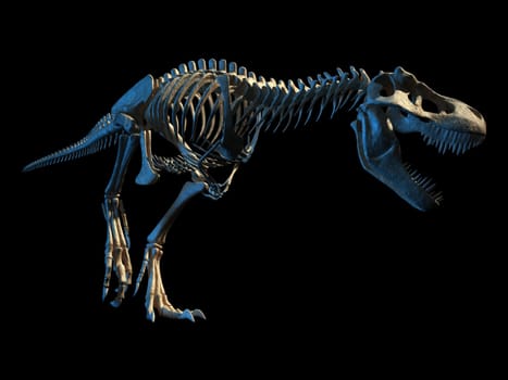 T-Rex dinosaur photo-realistic and scientifically correct, full skeleton in dynamic pose, perspective view. On black background, clipping path included.