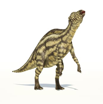 Maiasaura dinosaur, young child, full body photorealistic representation, scientifically correct. Dynamic view, On white background and drop shadow. Clipping path included.