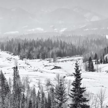 Square landscape of a snow storm over the Rocky Mountains, Canada.