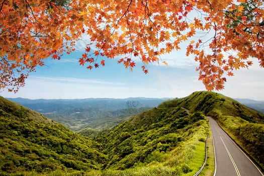 the image of road in autumn forest. Autumn landscape