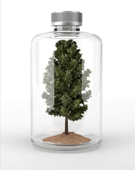 Tree inside a glass bottle. On white background with clipping path included.