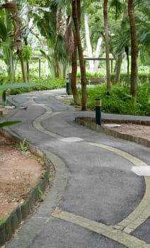 Green palm trees and gardening footpath