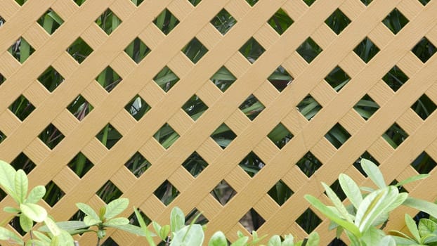gardening brown fence with green plants