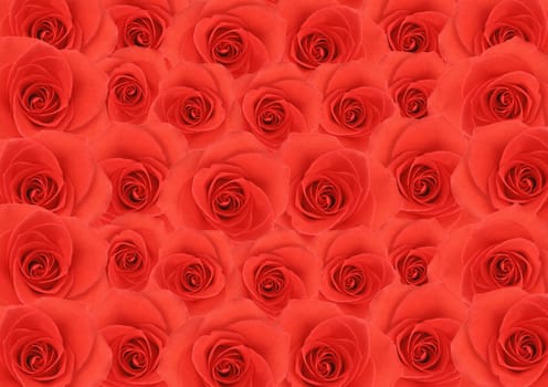 Red rose flowers textured background