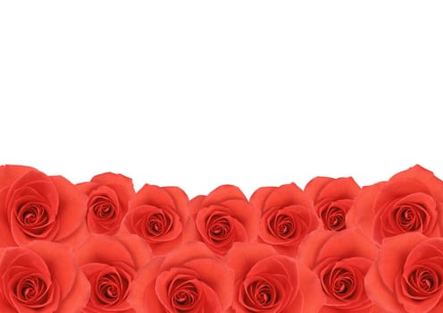 Red rose flowers textured background