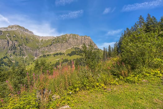 Pragel Pass