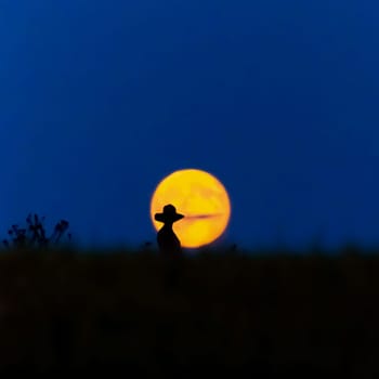 The silhouette of a woman with a hat in front of a full moon