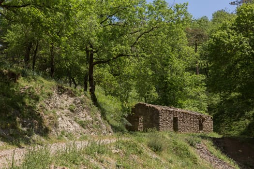 A lonely house with a path in the forest