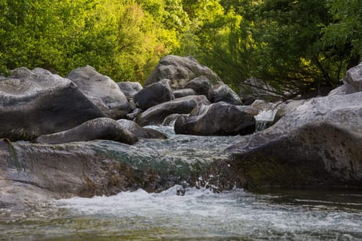 A small stream with a waterfall comes from a forest