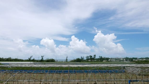 fluffy cloud background in the blue sky
