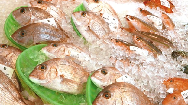 fish on ice at wet market