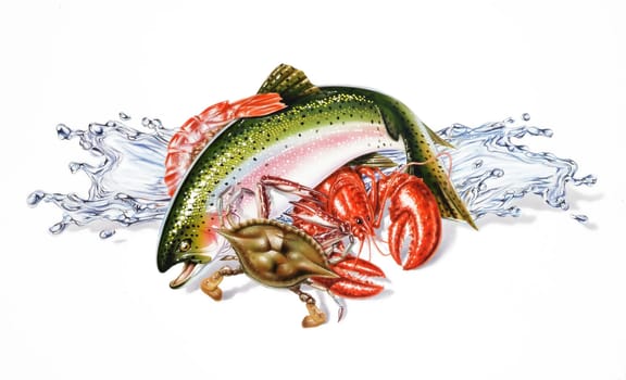 Group composition of different seafood and fish, with water splashes. Airbrush illustration. On white background with drop shadow.
