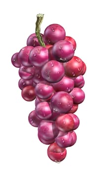 Red grape with water droplets, on white background. Clipping path included.