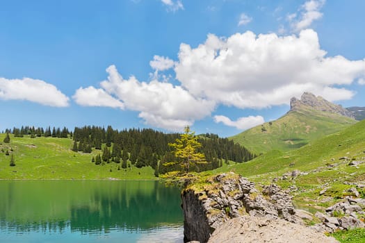 bannalpsee shore