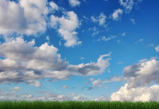 Grass viewed from a side at ground level, with blue sky with cumulus clouds.