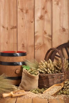 Beer barrel with wheat,barley,hops and malt