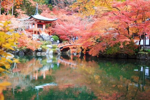 Kyoto, Japan - November 24, 2013