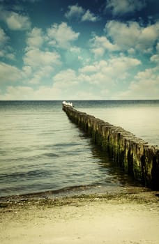 Seagulls on a beach, image toned in vintage colors