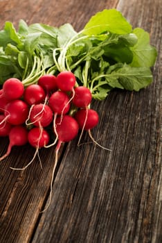 Fresh red radish on a wooden background close up.