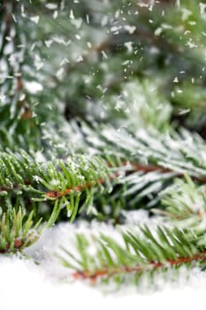 Winter Background