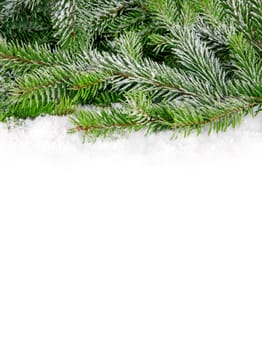 Winter Background