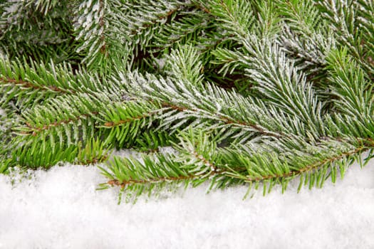 Winter Background