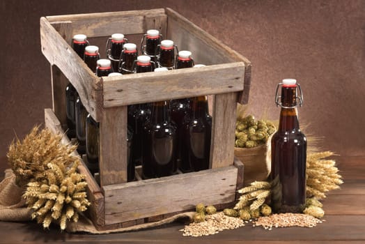 Beer box and beer bottle with wheat,barley,hops and malt