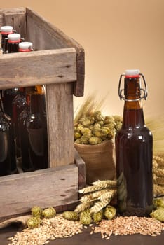 Beer box and beer bottle with wheat,barley,hops and malt