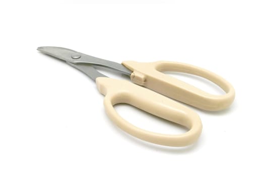 isolated kitchen scissors on white background