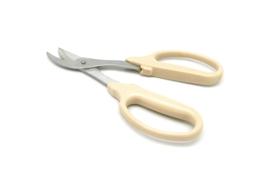 isolated kitchen scissors on white background