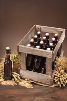 Beer box and beer bottle with wheat,barley,hops and malt